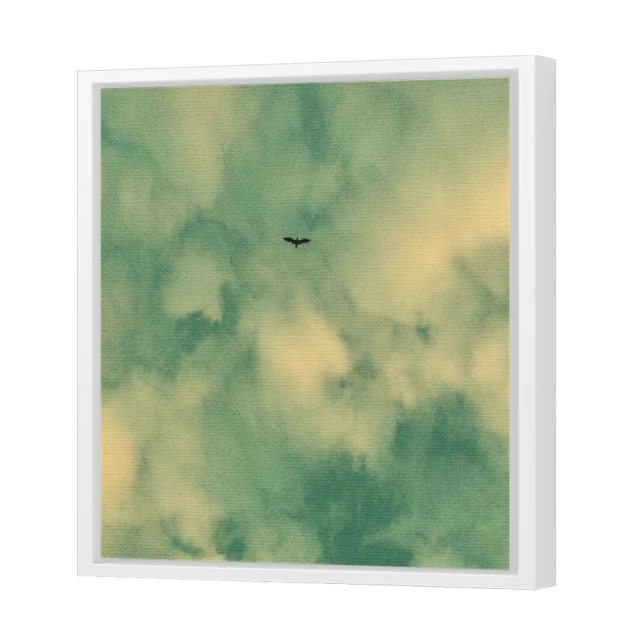 Thumbnail for Canvas - White Floating Frame