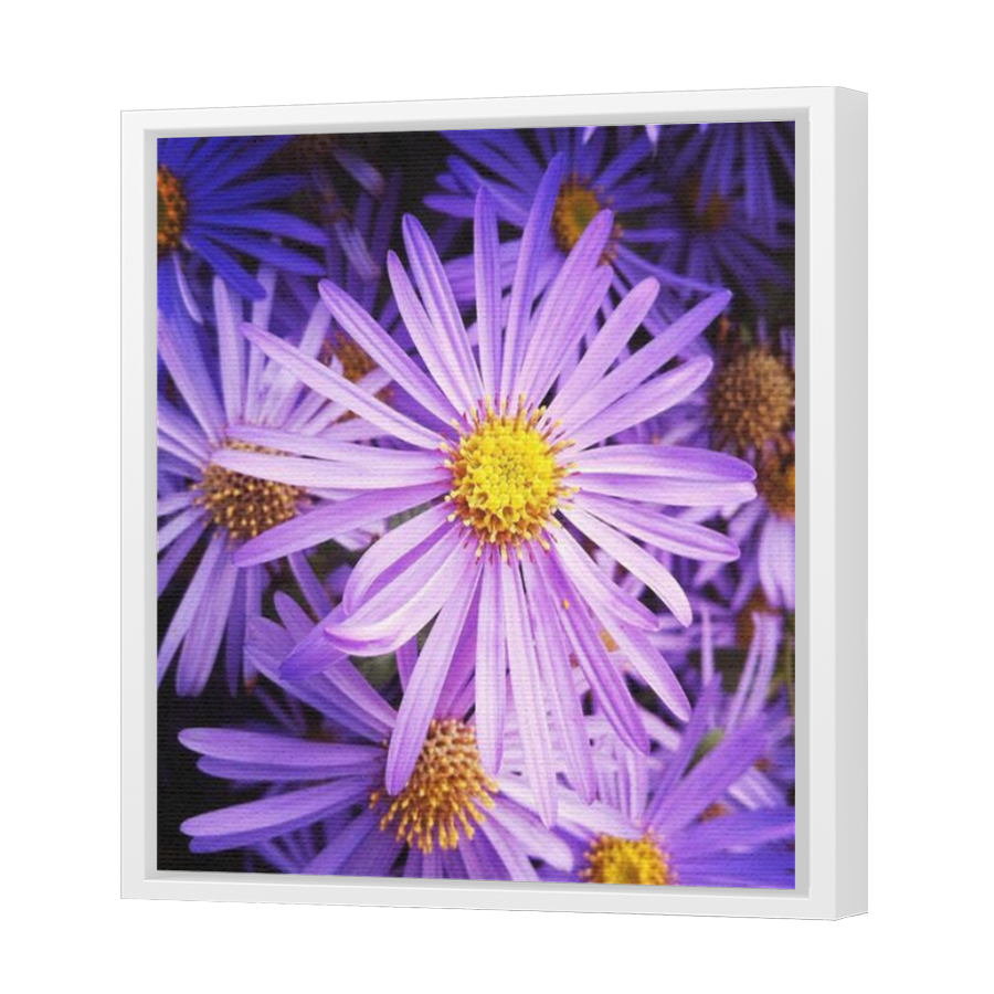 Thumbnail for Canvas - White Floating Frame