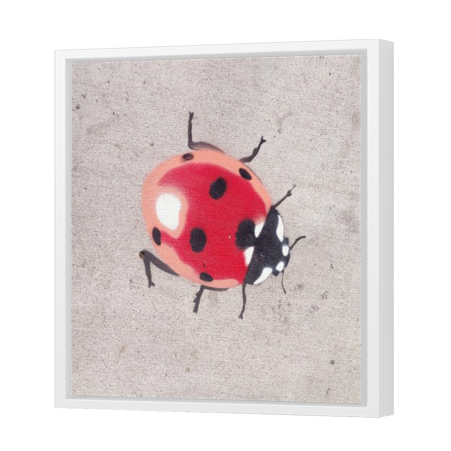 Thumbnail for Canvas - White Floating Frame