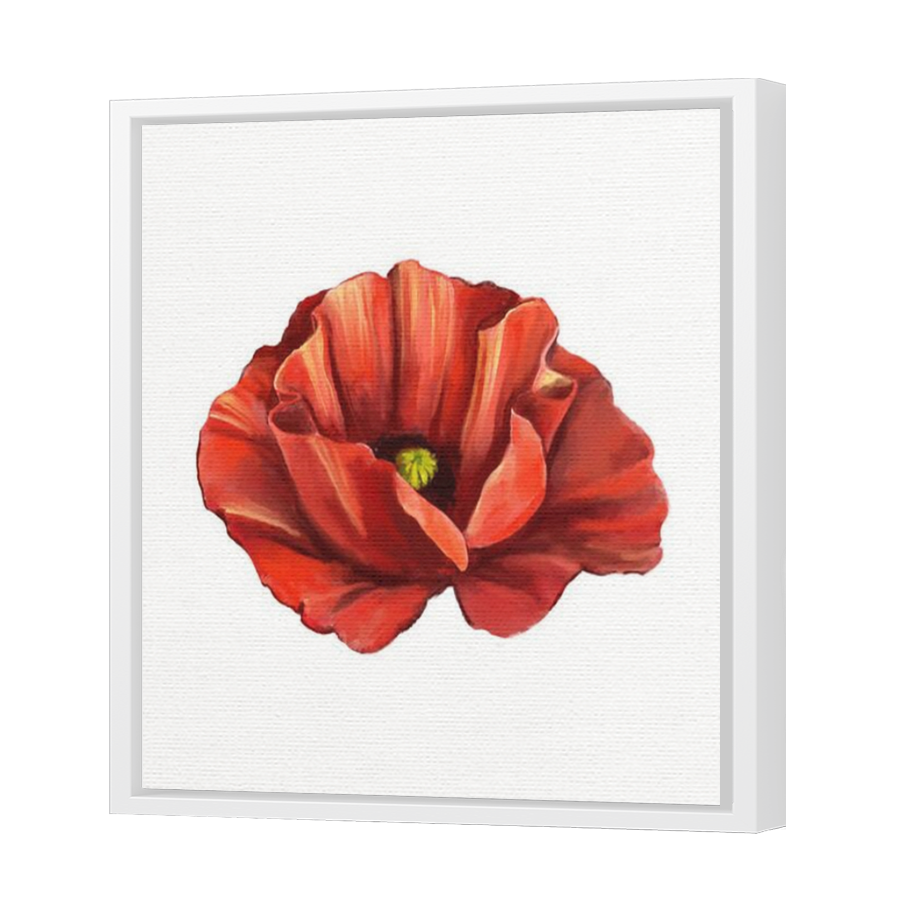 Thumbnail for Canvas - White Floating Frame
