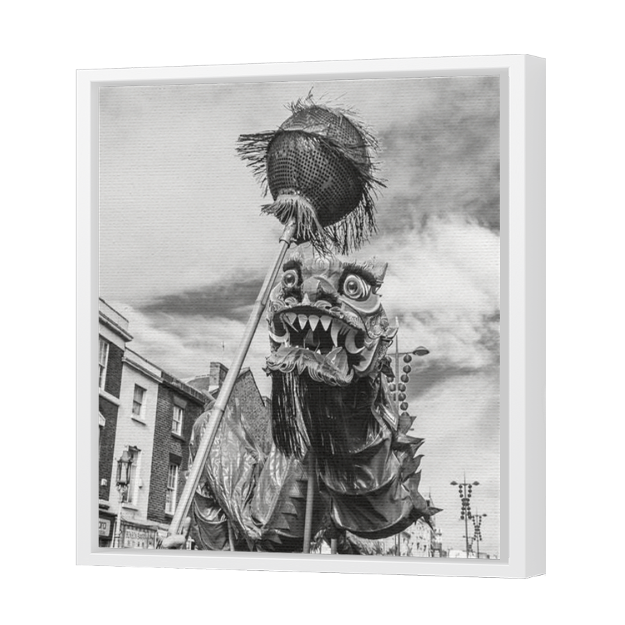 Thumbnail for Canvas - White Floating Frame