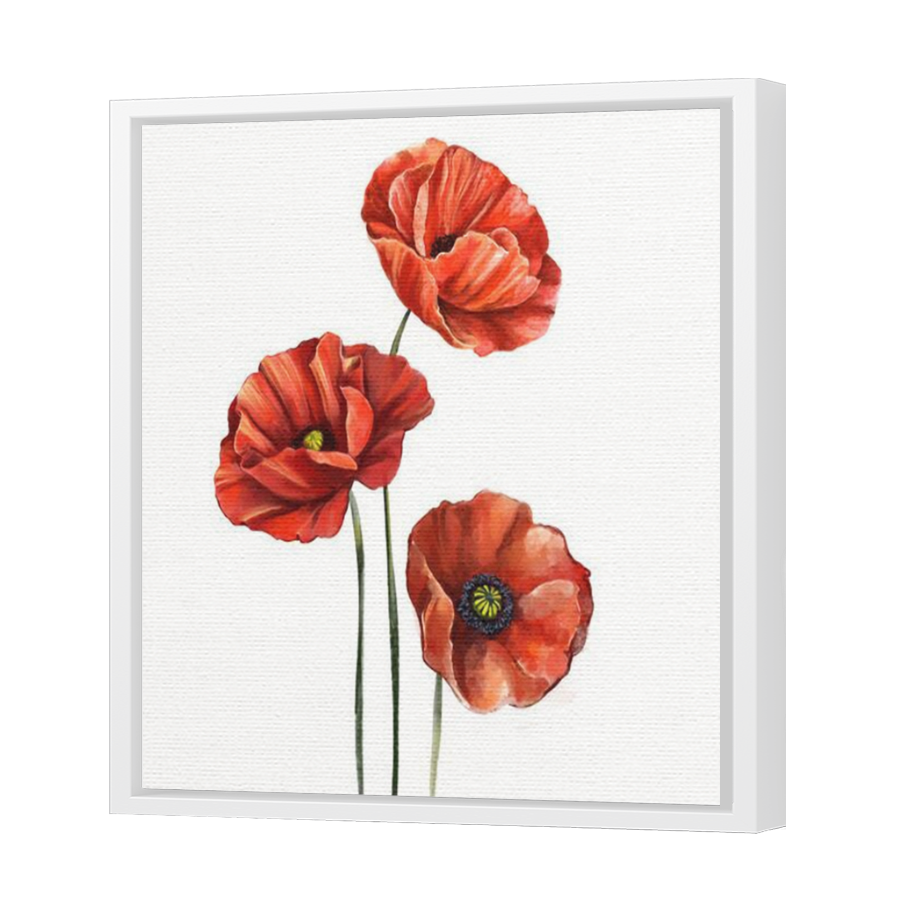 Thumbnail for Canvas - White Floating Frame
