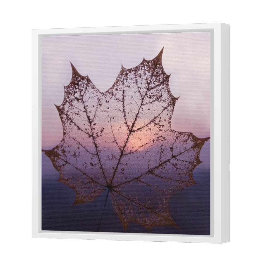 Thumbnail for Canvas - White Floating Frame