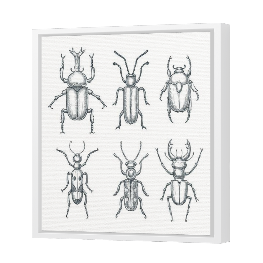 Thumbnail for Canvas - White Floating Frame