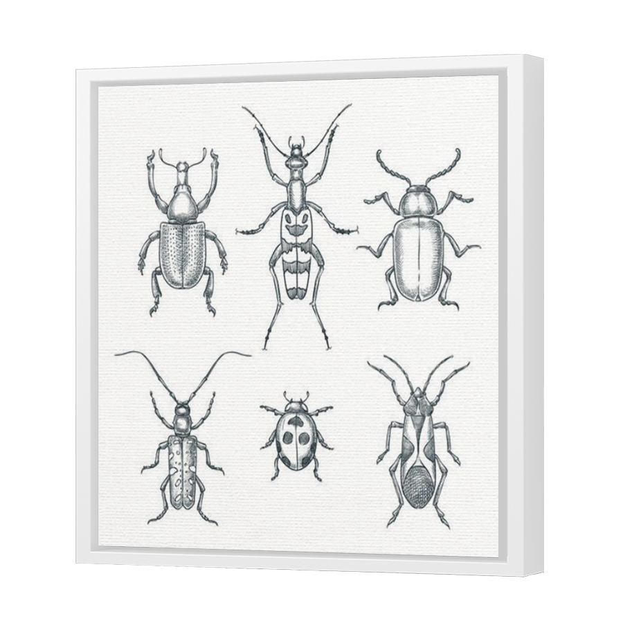 Thumbnail for Canvas - White Floating Frame