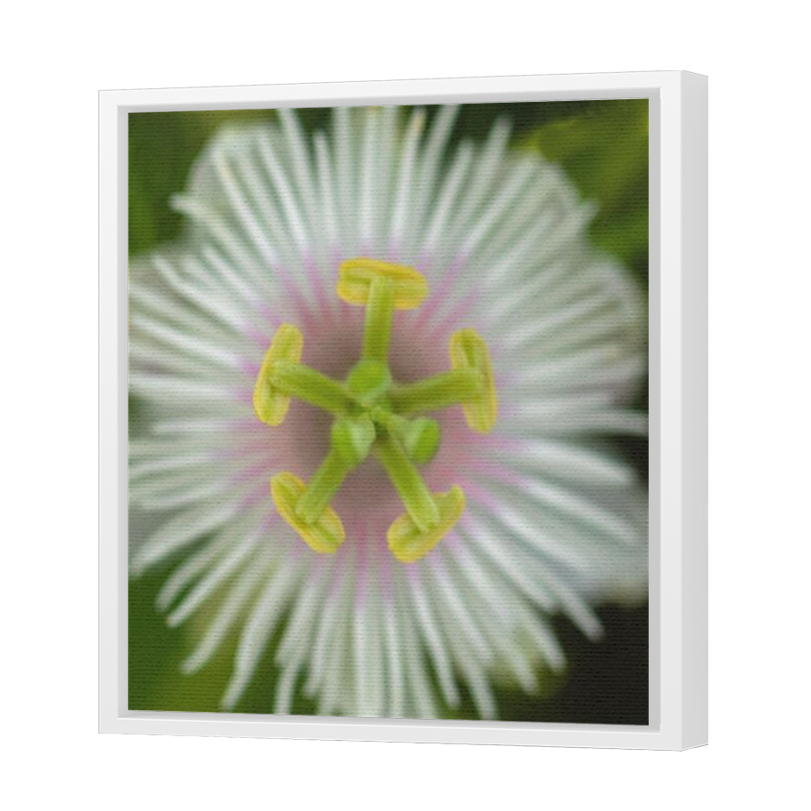 Thumbnail for Canvas - White Floating Frame