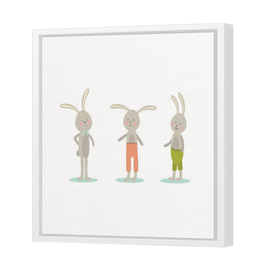 Thumbnail for Canvas - White Floating Frame