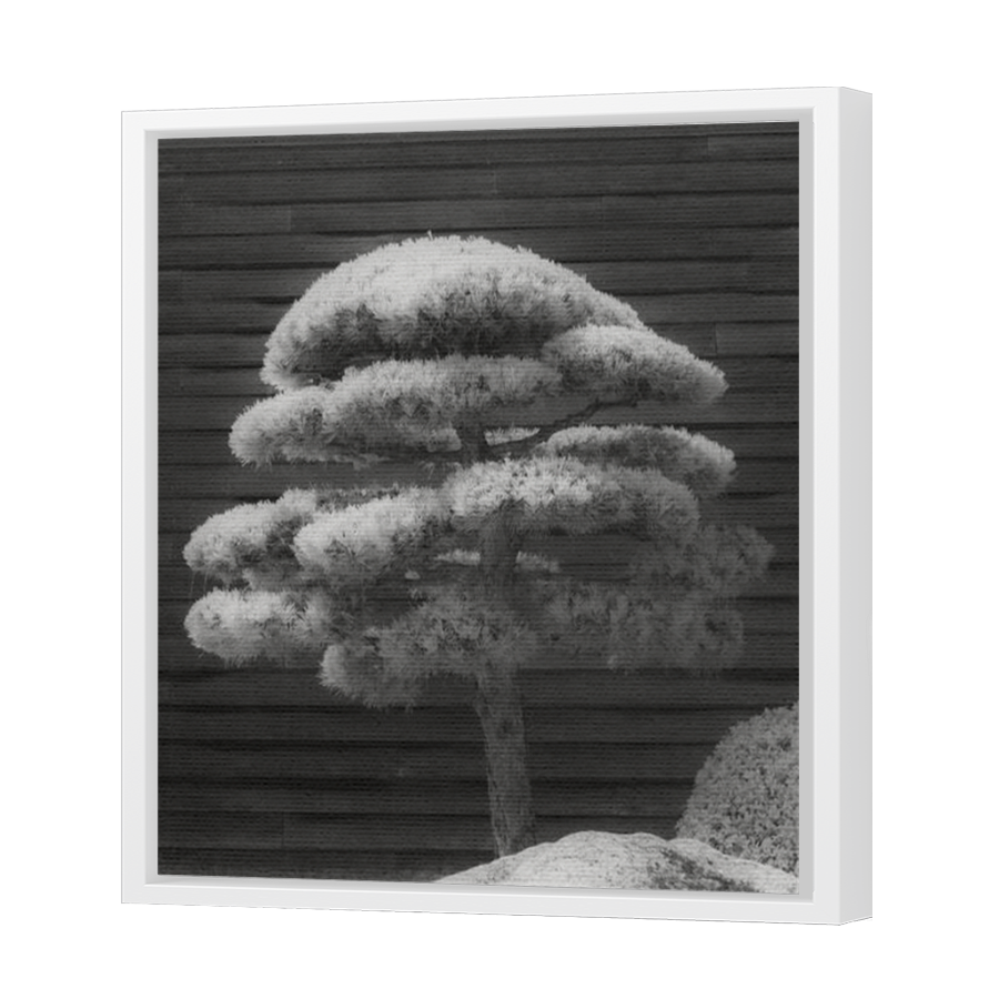 Thumbnail for Canvas - White Floating Frame