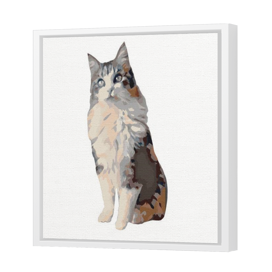 Thumbnail for Canvas - White Floating Frame