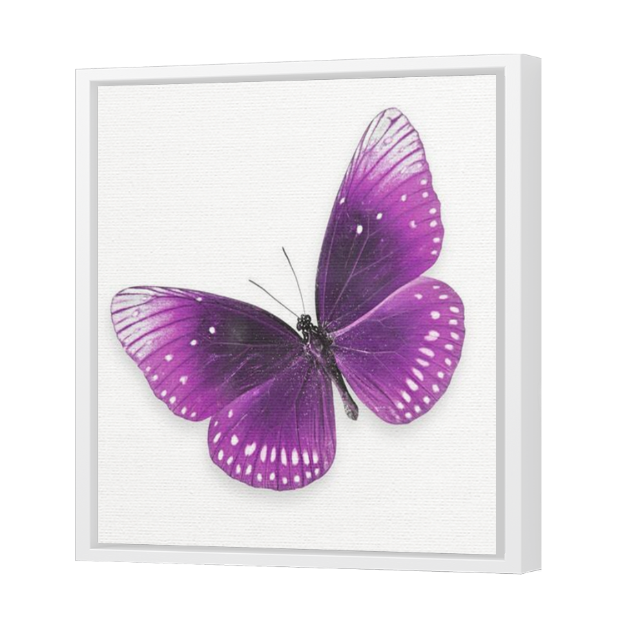 Thumbnail for Canvas - White Floating Frame