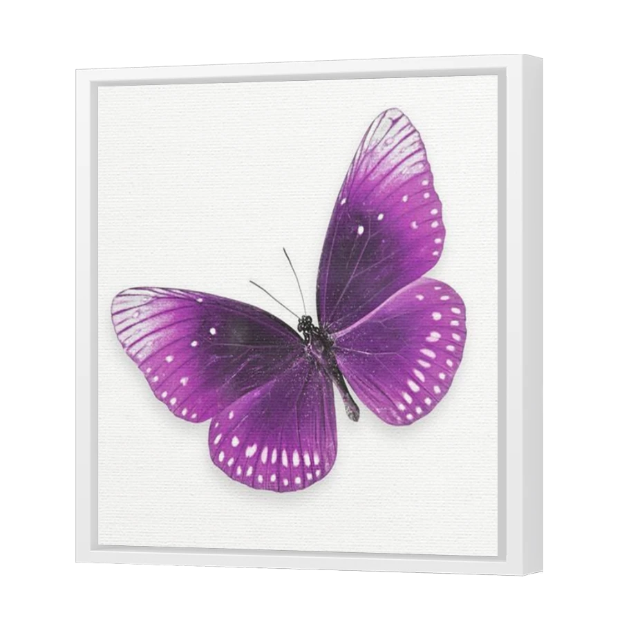 Thumbnail for Canvas - White Floating Frame
