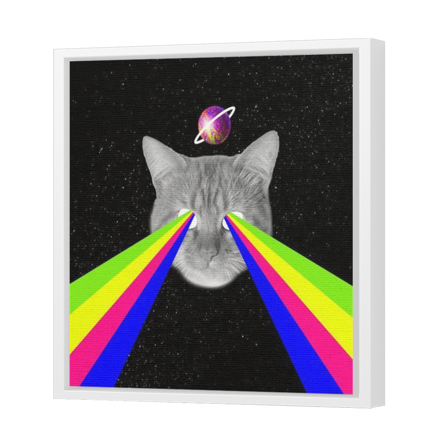 Thumbnail for Canvas - White Floating Frame