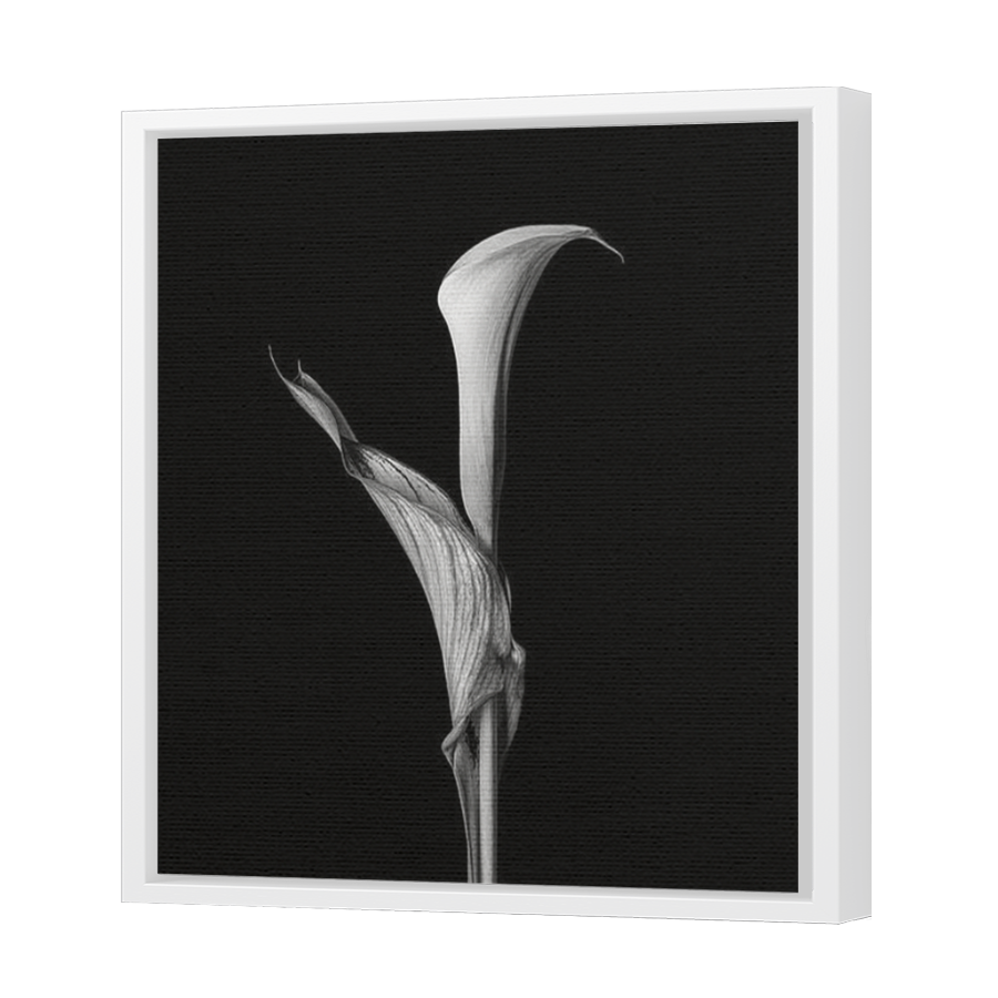 Thumbnail for Canvas - White Floating Frame