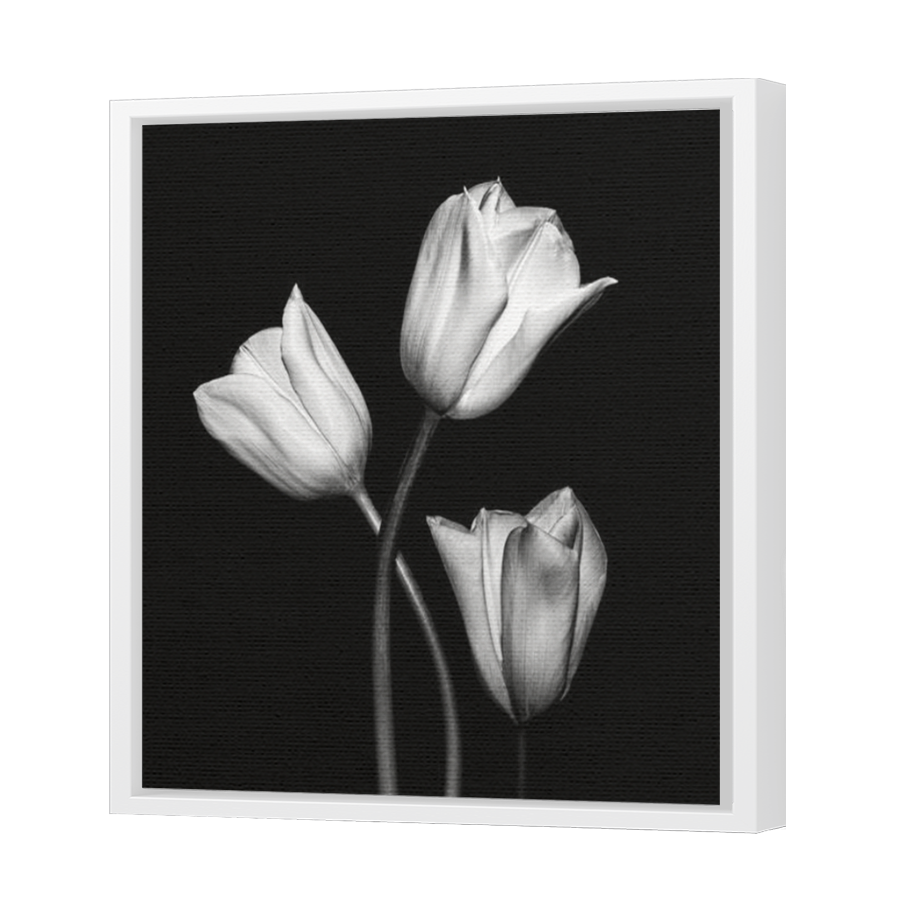 Thumbnail for Canvas - White Floating Frame