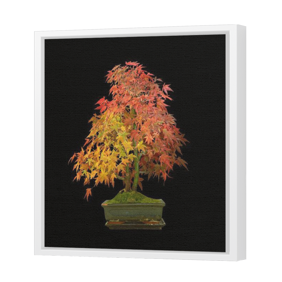 Thumbnail for Canvas - White Floating Frame