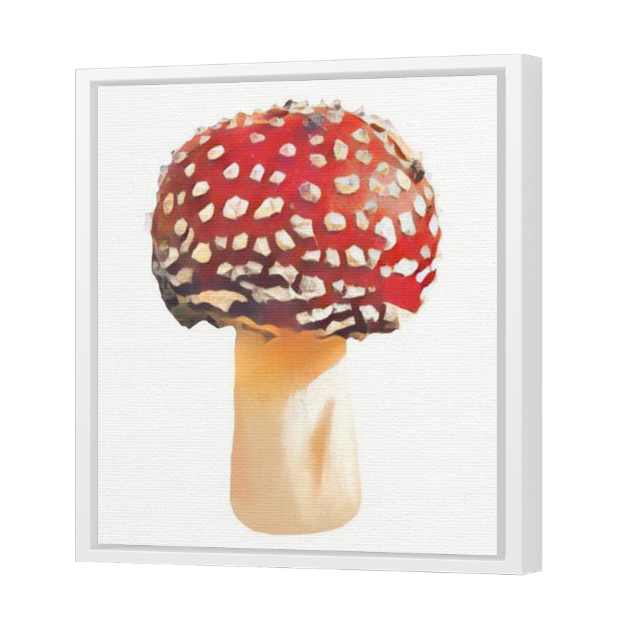 Thumbnail for Canvas - White Floating Frame