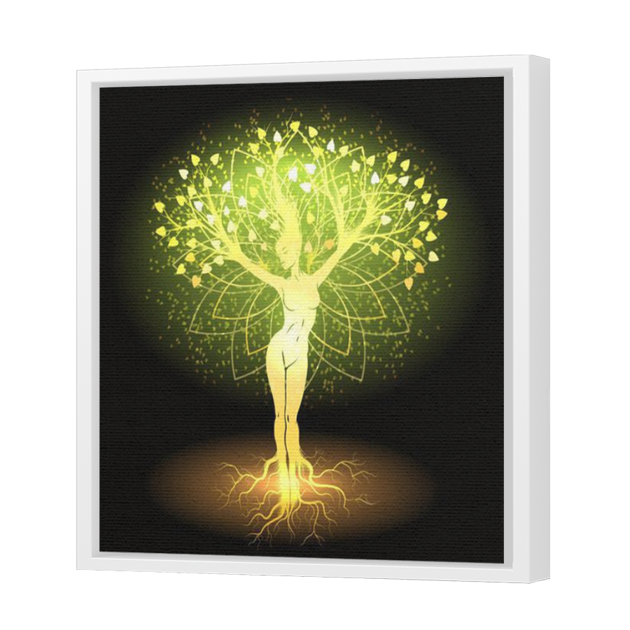 Thumbnail for Canvas - White Floating Frame