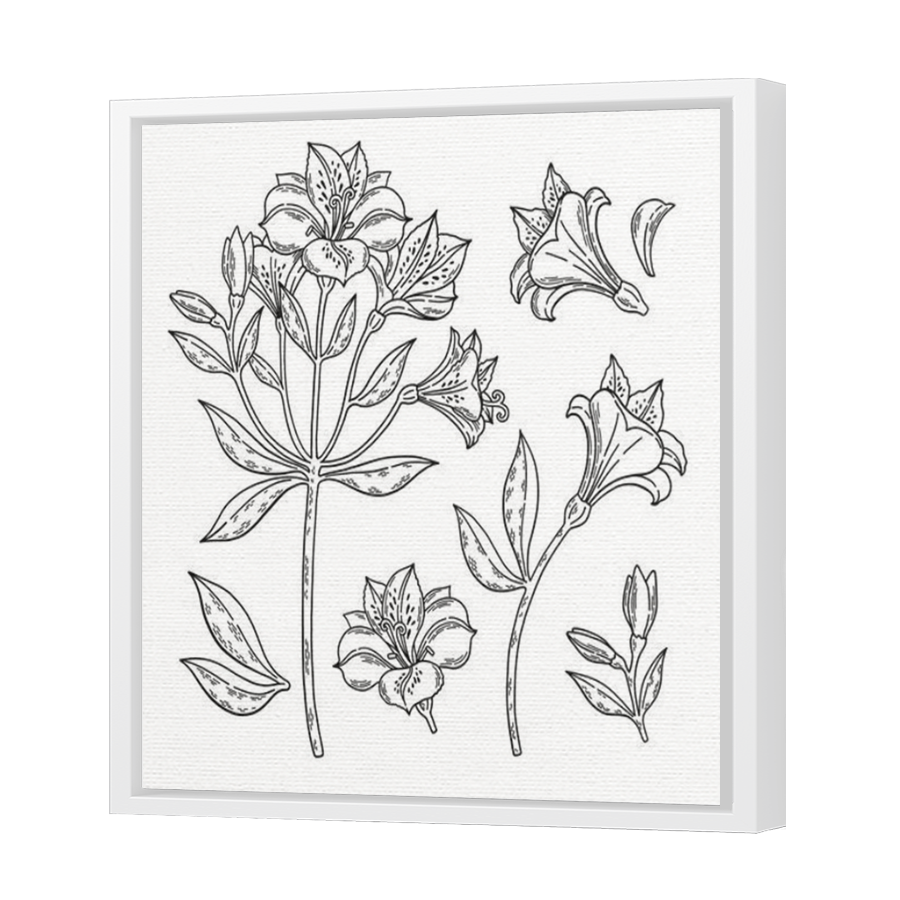 Thumbnail for Canvas - White Floating Frame