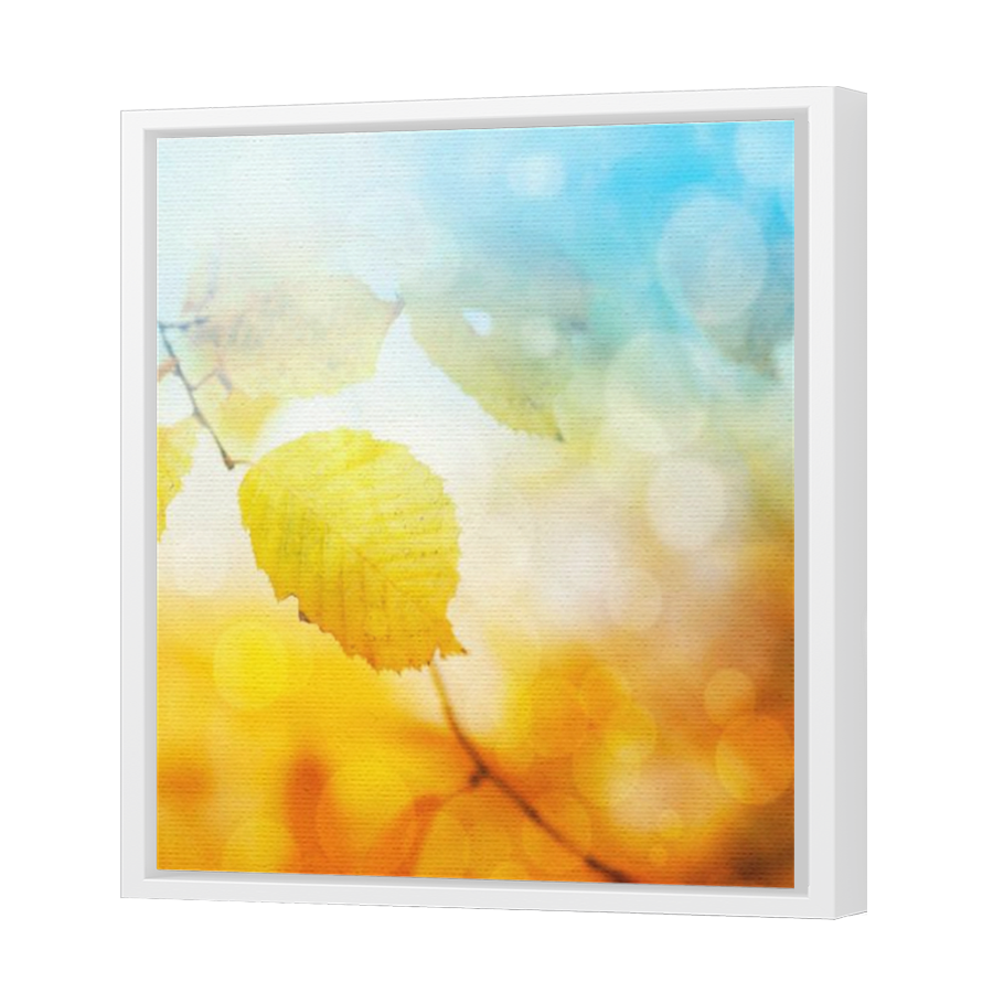 Thumbnail for Canvas - White Floating Frame