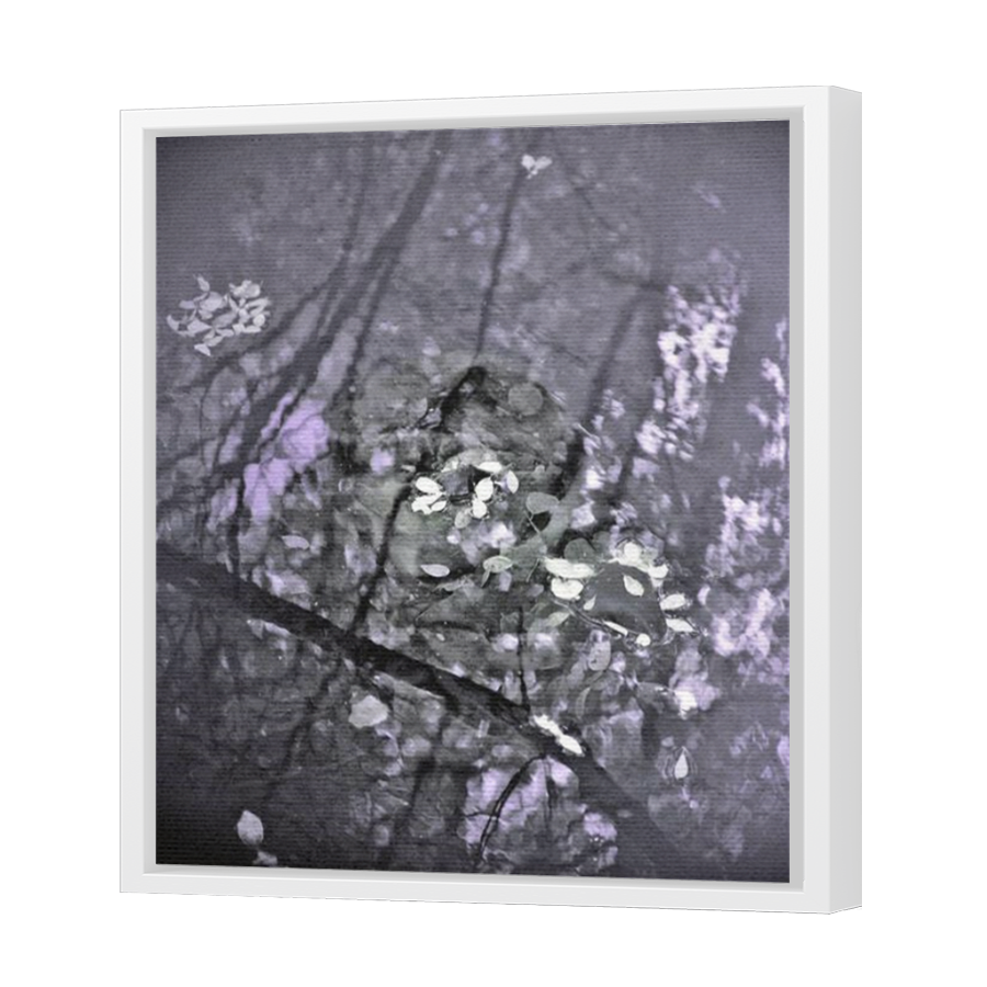 Thumbnail for Canvas - White Floating Frame