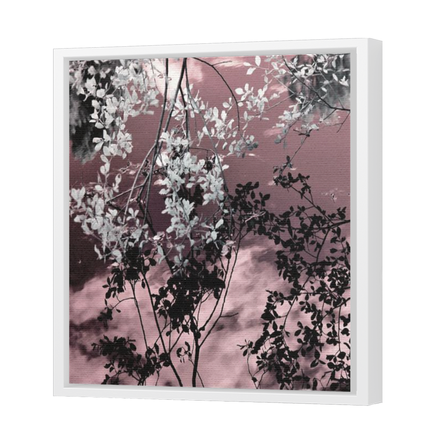 Thumbnail for Canvas - White Floating Frame