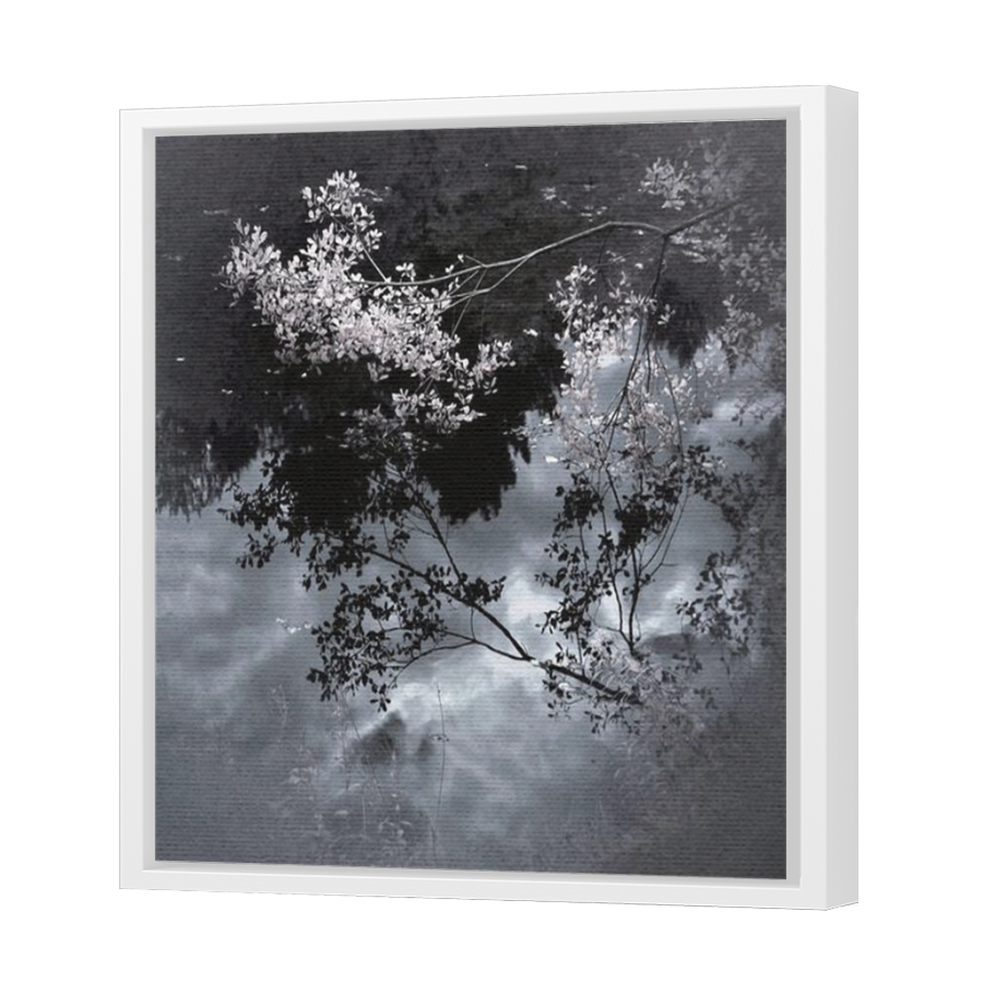 Thumbnail for Canvas - White Floating Frame