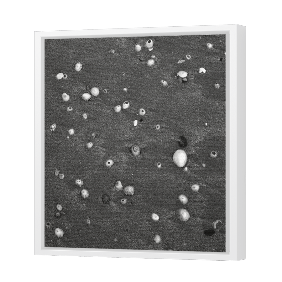 Thumbnail for Canvas - White Floating Frame