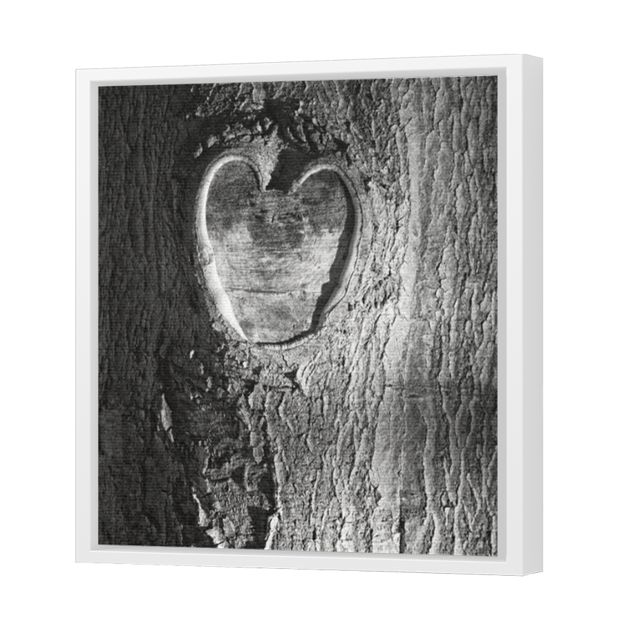 Thumbnail for Canvas - White Floating Frame
