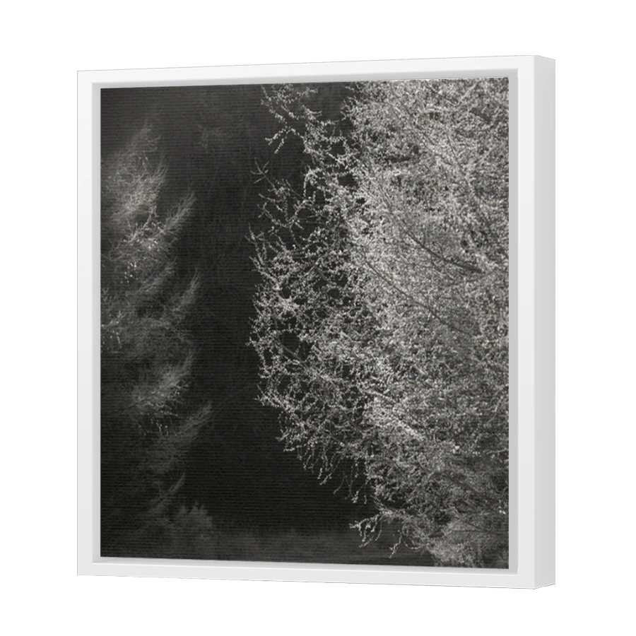 Thumbnail for Canvas - White Floating Frame