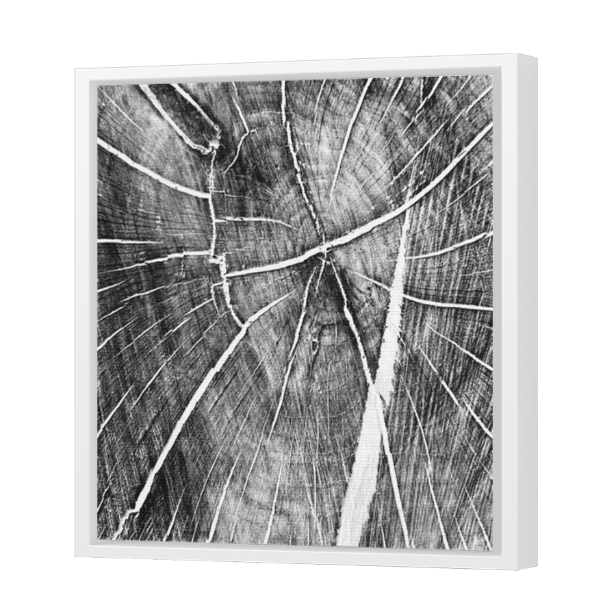 Thumbnail for Canvas - White Floating Frame
