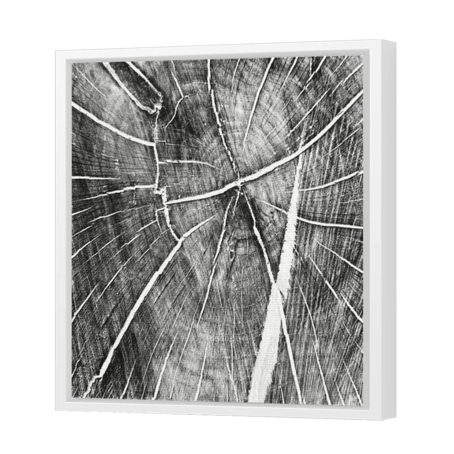Thumbnail for Canvas - White Floating Frame
