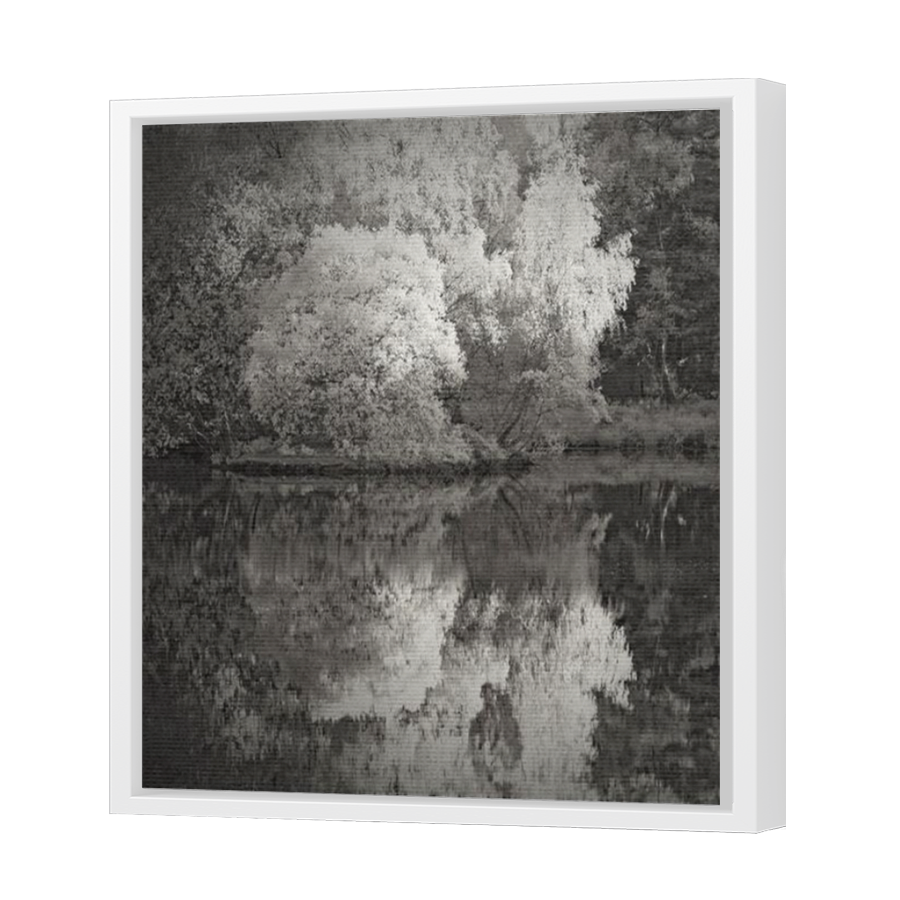Thumbnail for Canvas - White Floating Frame