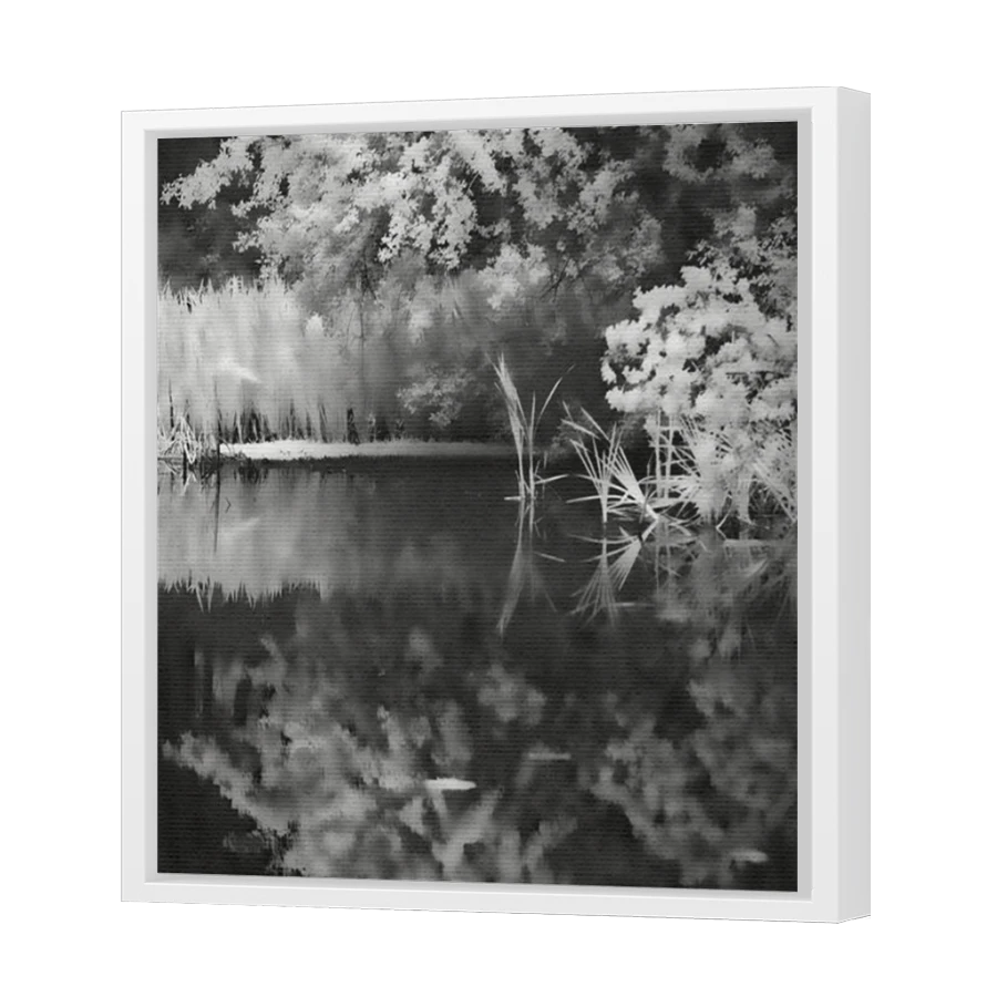 Thumbnail for Canvas - White Floating Frame