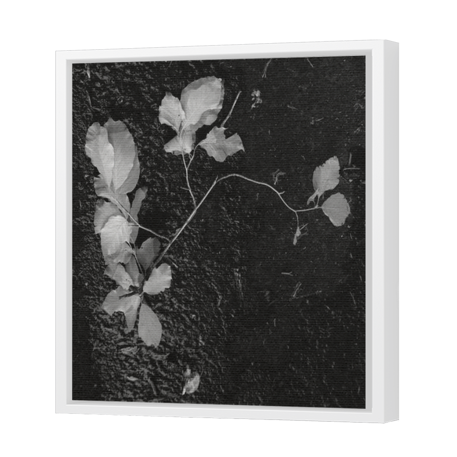Thumbnail for Canvas - White Floating Frame