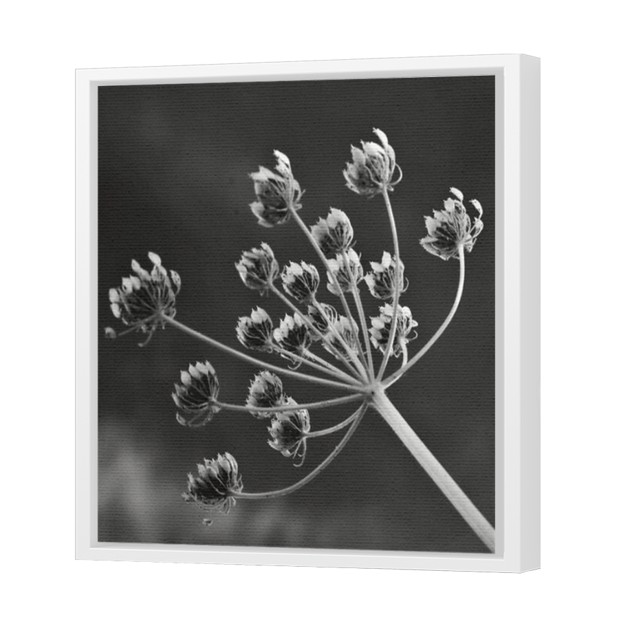 Thumbnail for Canvas - White Floating Frame