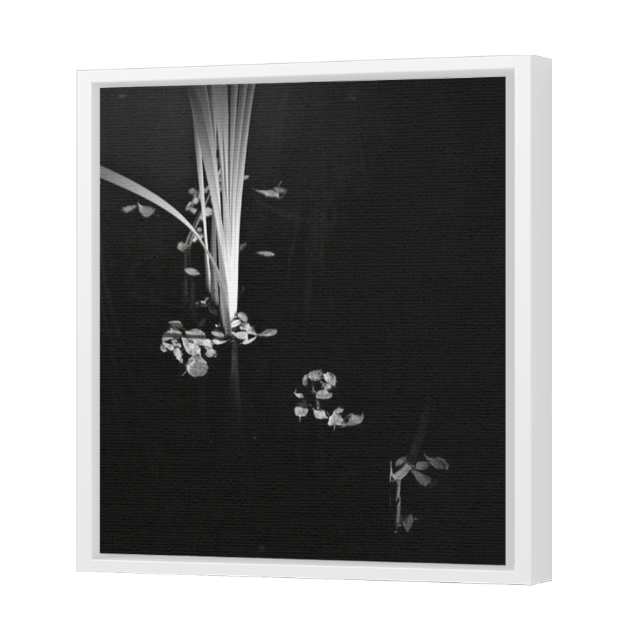 Thumbnail for Canvas - White Floating Frame