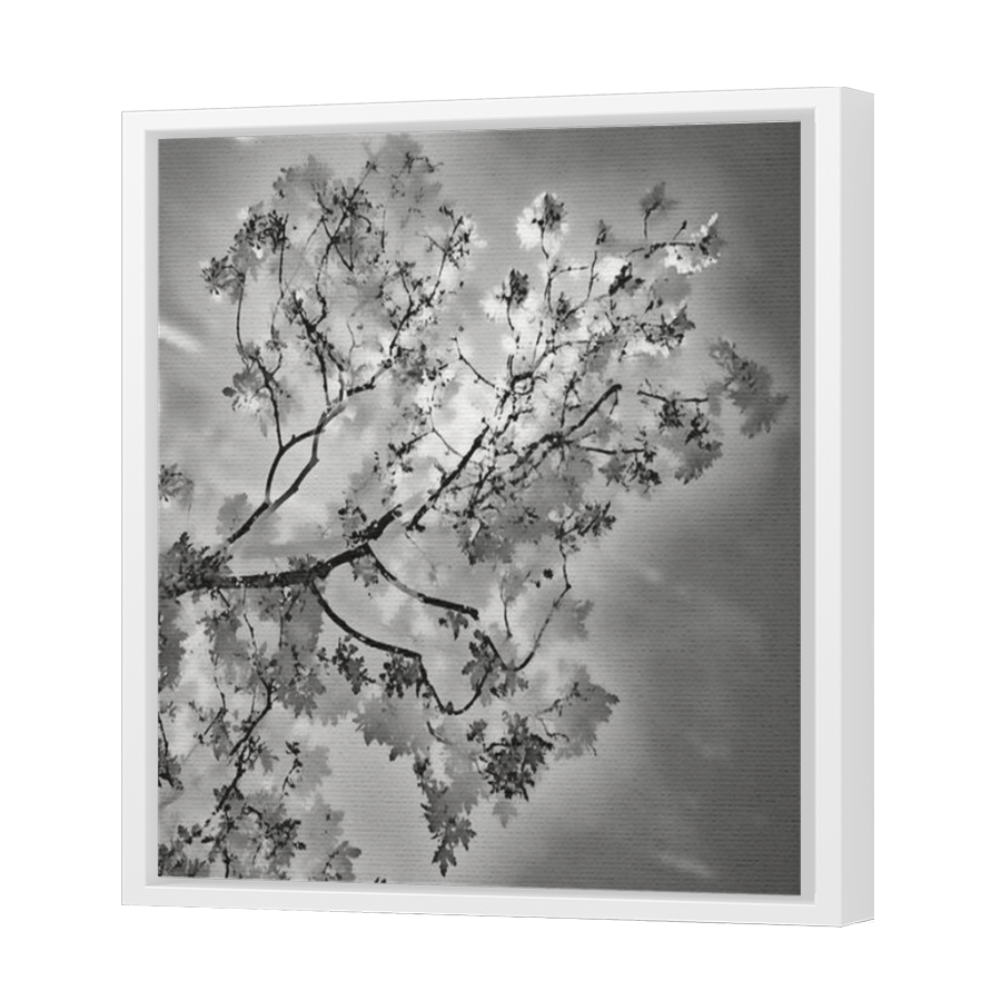 Thumbnail for Canvas - White Floating Frame