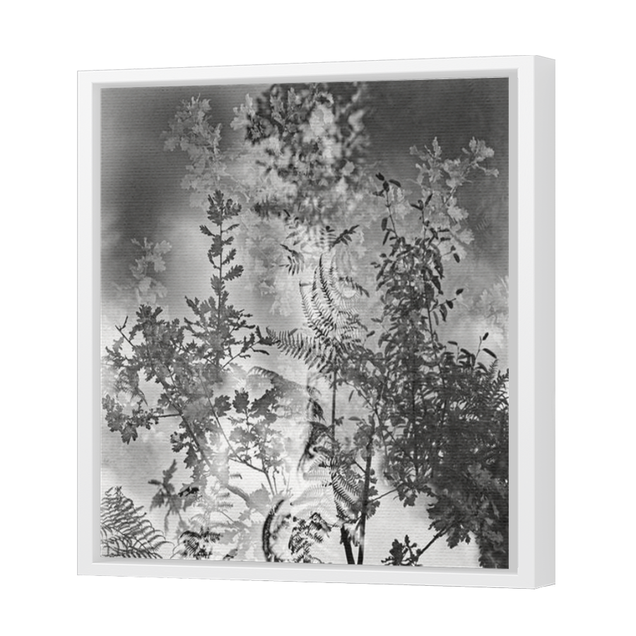 Thumbnail for Canvas - White Floating Frame