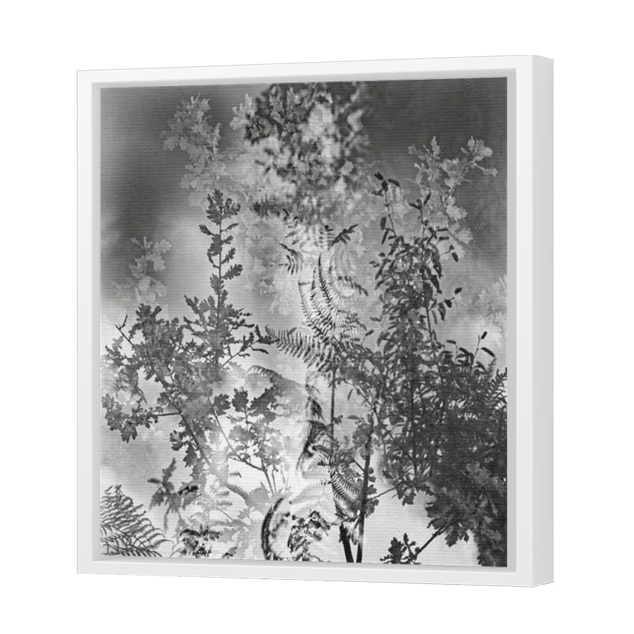Thumbnail for Canvas - White Floating Frame