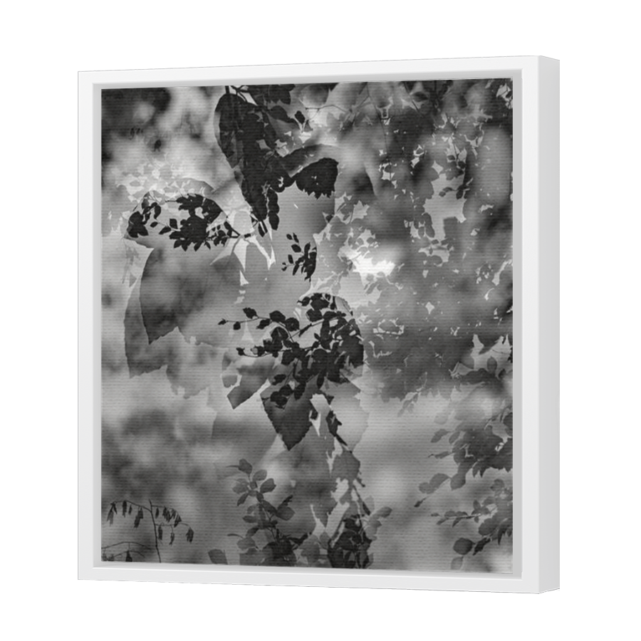 Thumbnail for Canvas - White Floating Frame