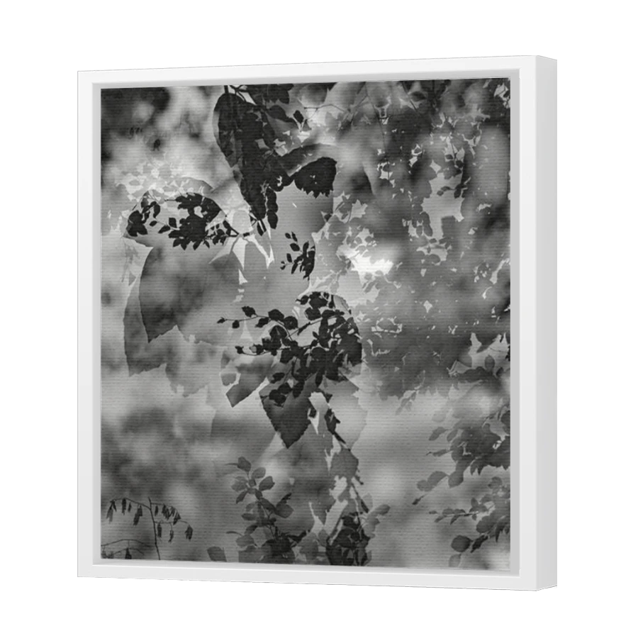 Thumbnail for Canvas - White Floating Frame