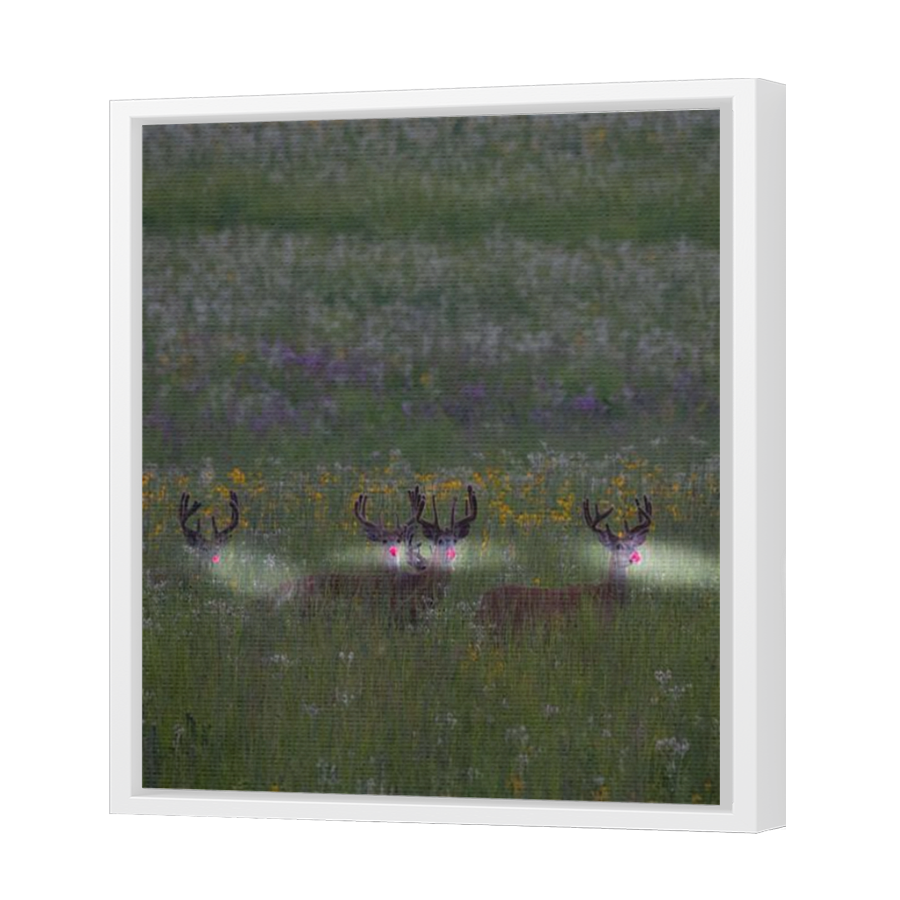 Thumbnail for Canvas - White Floating Frame