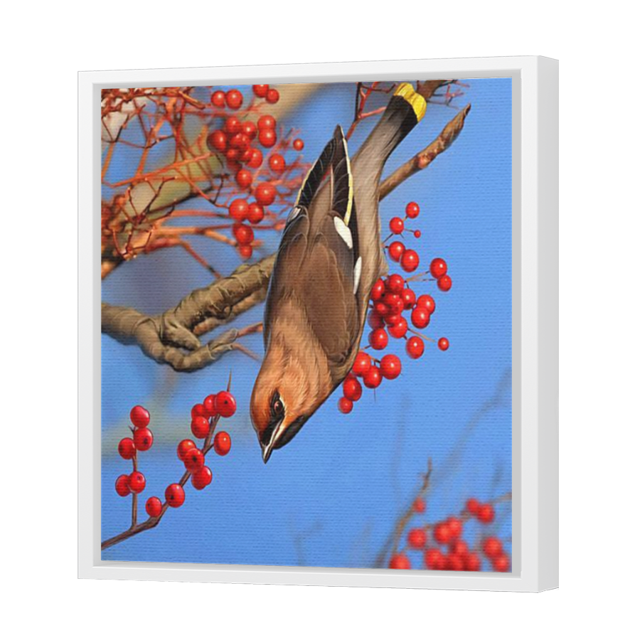 Thumbnail for Canvas - White Floating Frame
