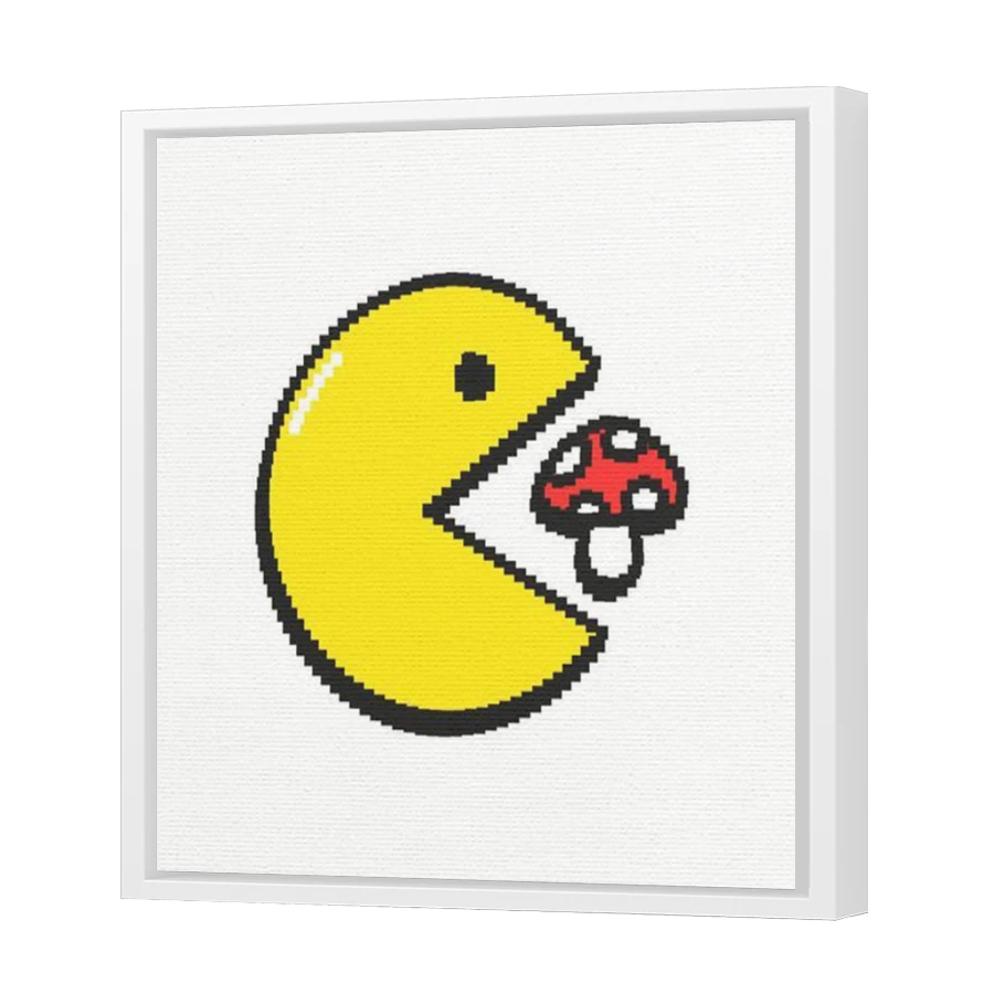 Thumbnail for Canvas - White Floating Frame