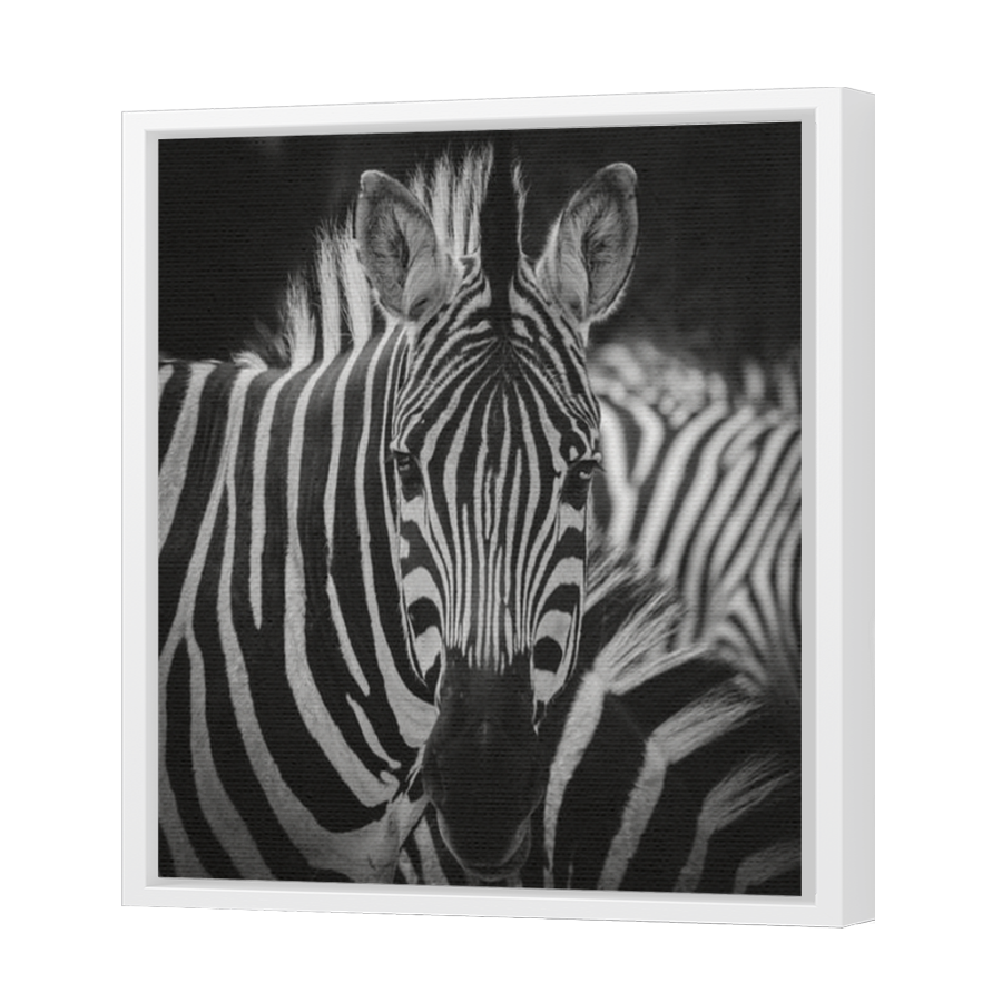 Thumbnail for Canvas - White Floating Frame