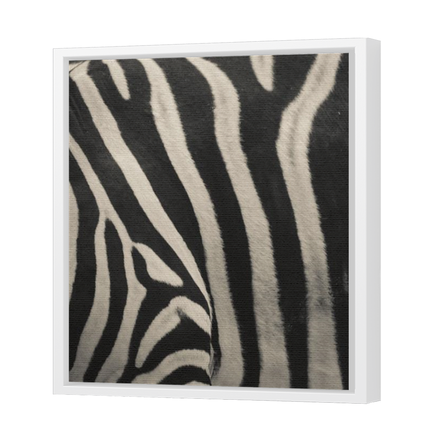 Thumbnail for Canvas - White Floating Frame