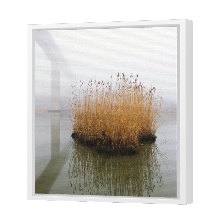 Thumbnail for Canvas - White Floating Frame