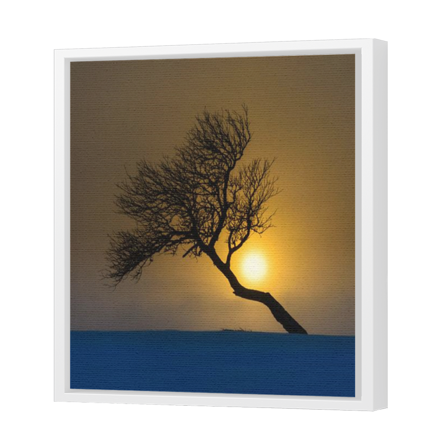 Thumbnail for Canvas - White Floating Frame