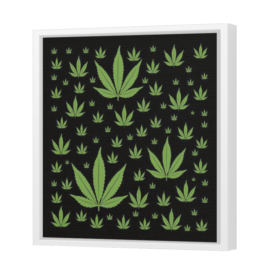 Thumbnail for Canvas - White Floating Frame