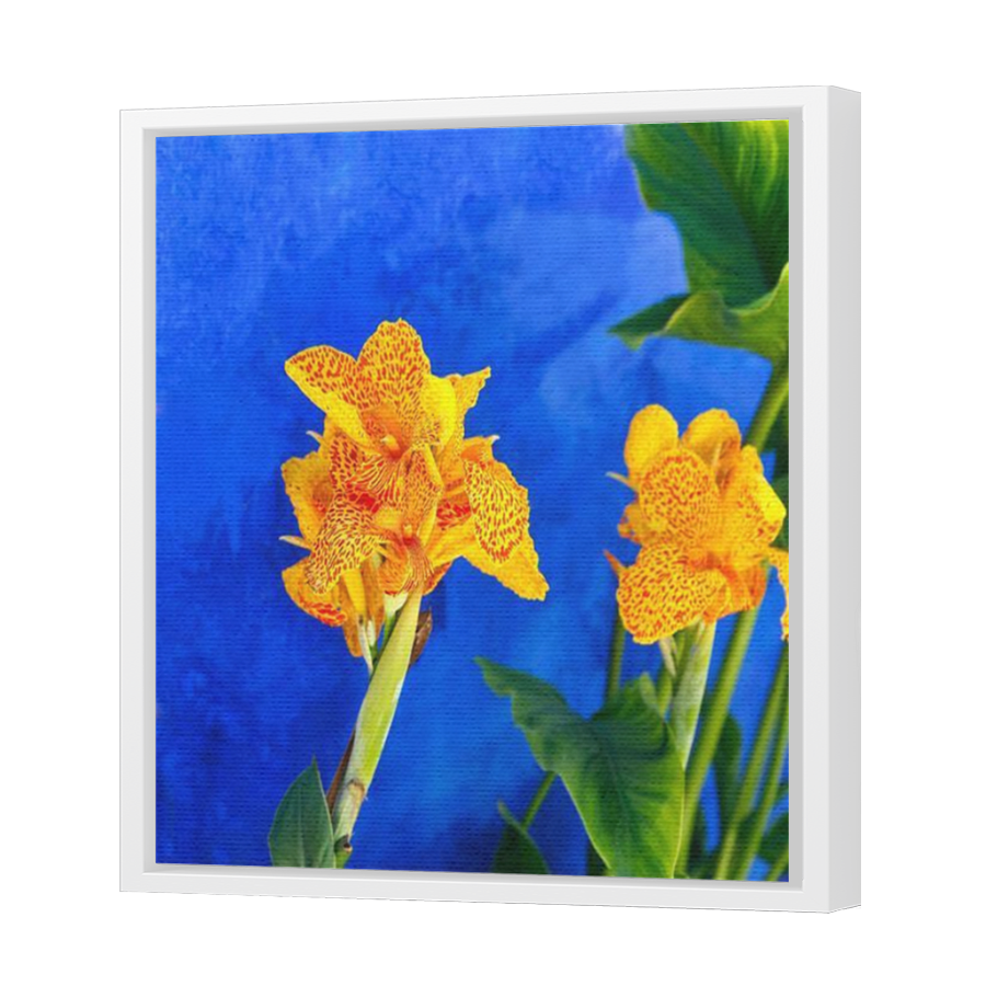 Thumbnail for Canvas - White Floating Frame